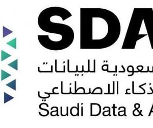 الهيئة السعودية للبيانات
